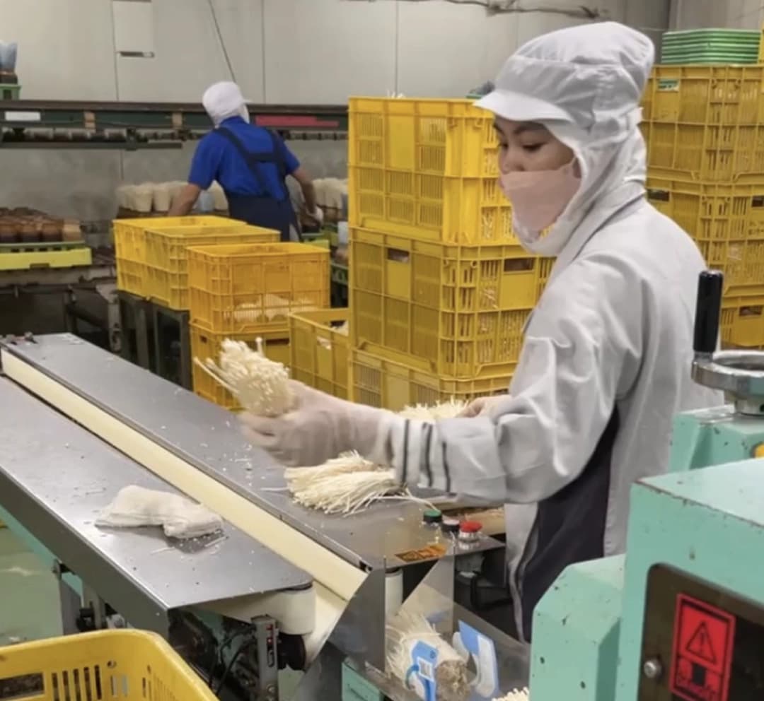 HelloJob কার্যক্রম 21